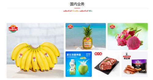 攜手并進，共創(chuàng)未來 佳農(nóng)集團與巧廚供應(yīng)鏈合作項目正式啟動